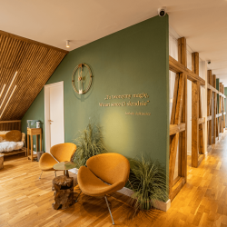 salon_2